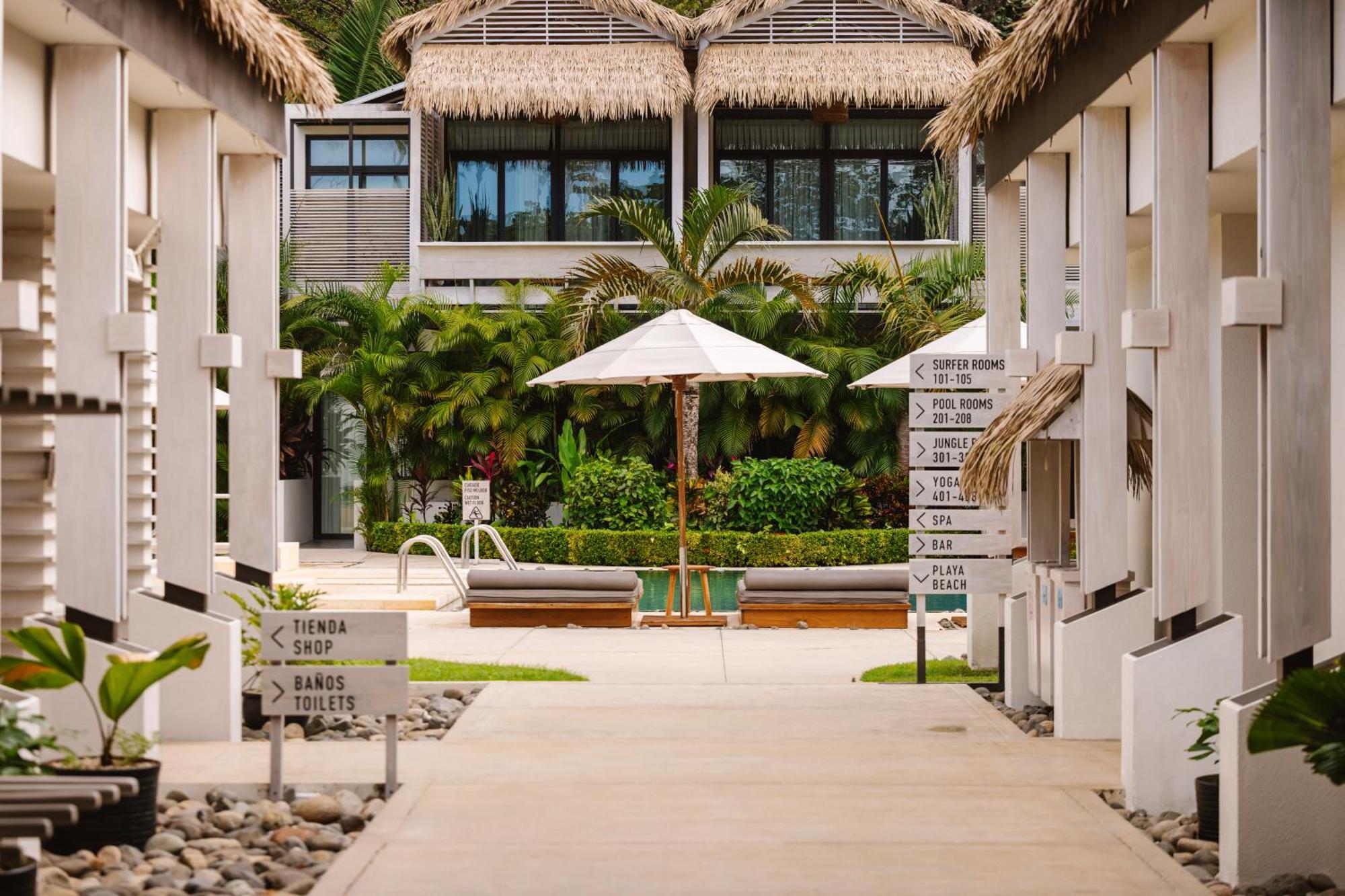 The Gilded Iguana Hotell Nosara Exteriör bild